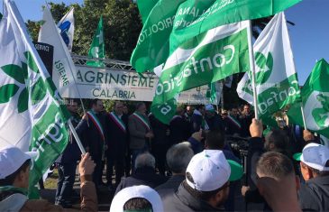 Olivicoltori in protesta a Lamezia, corteo dei trattori attraversa la città